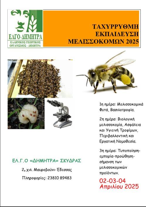 Στιγμιότυπο οθόνης 2025-03-07 110555