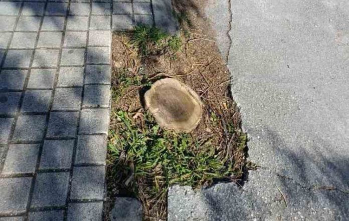 Έδεσσα και Γιαννιτσά οι «τσιμεντούπολεις»