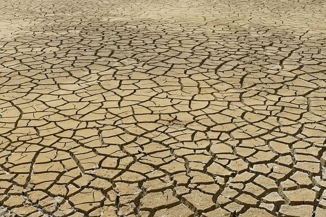 Η Περιφερειακή Ενότητα Πέλλας και ο ΤΟΕΒ Ακρολίμνης