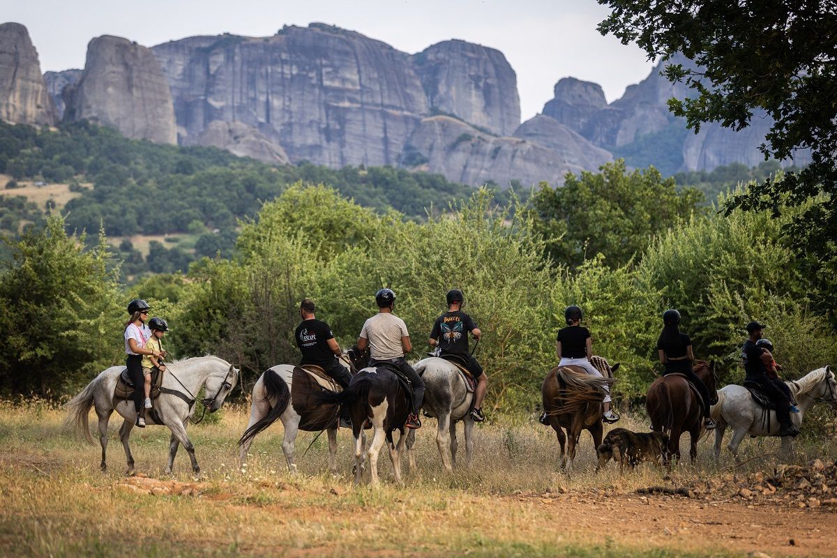 ΚΥΝΗΓΙ ΤΡΟΥΦΑΣ ΜΕ ΑΛΟΓΑ ΣΤΑ ΜΕΤΕΩΡΑ
