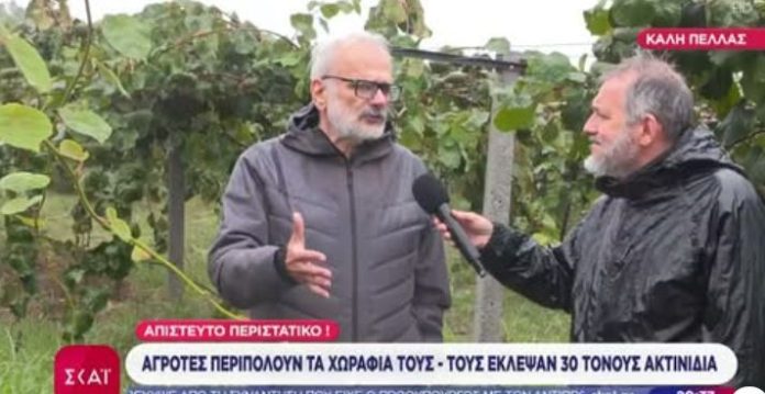 Συναγερμός στον Κάμπο της Πέλλας