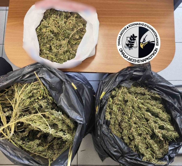 Κατάσχεση κάνναβης ΤΔΕΕ Κιλκίς Συνελήφθη από αστυνομικούς
