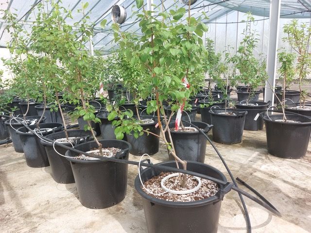 Nέο κεφάλαιο στην παραγωγή