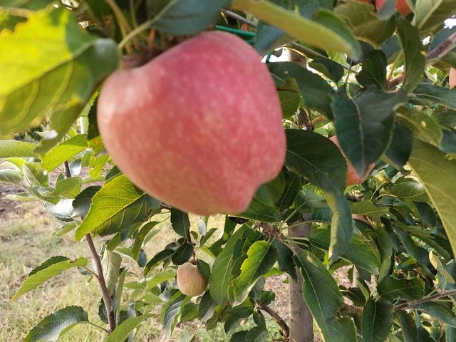 Nέο κεφάλαιο στην παραγωγή