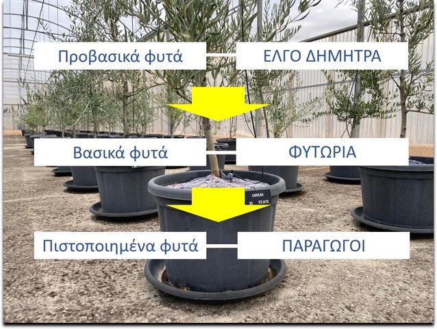 Nέο κεφάλαιο στην παραγωγή