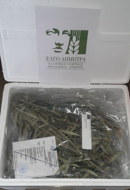 Nέο κεφάλαιο στην παραγωγή