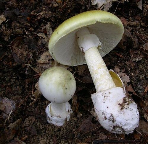 «Όλα έγιναν όπως έπρεπε