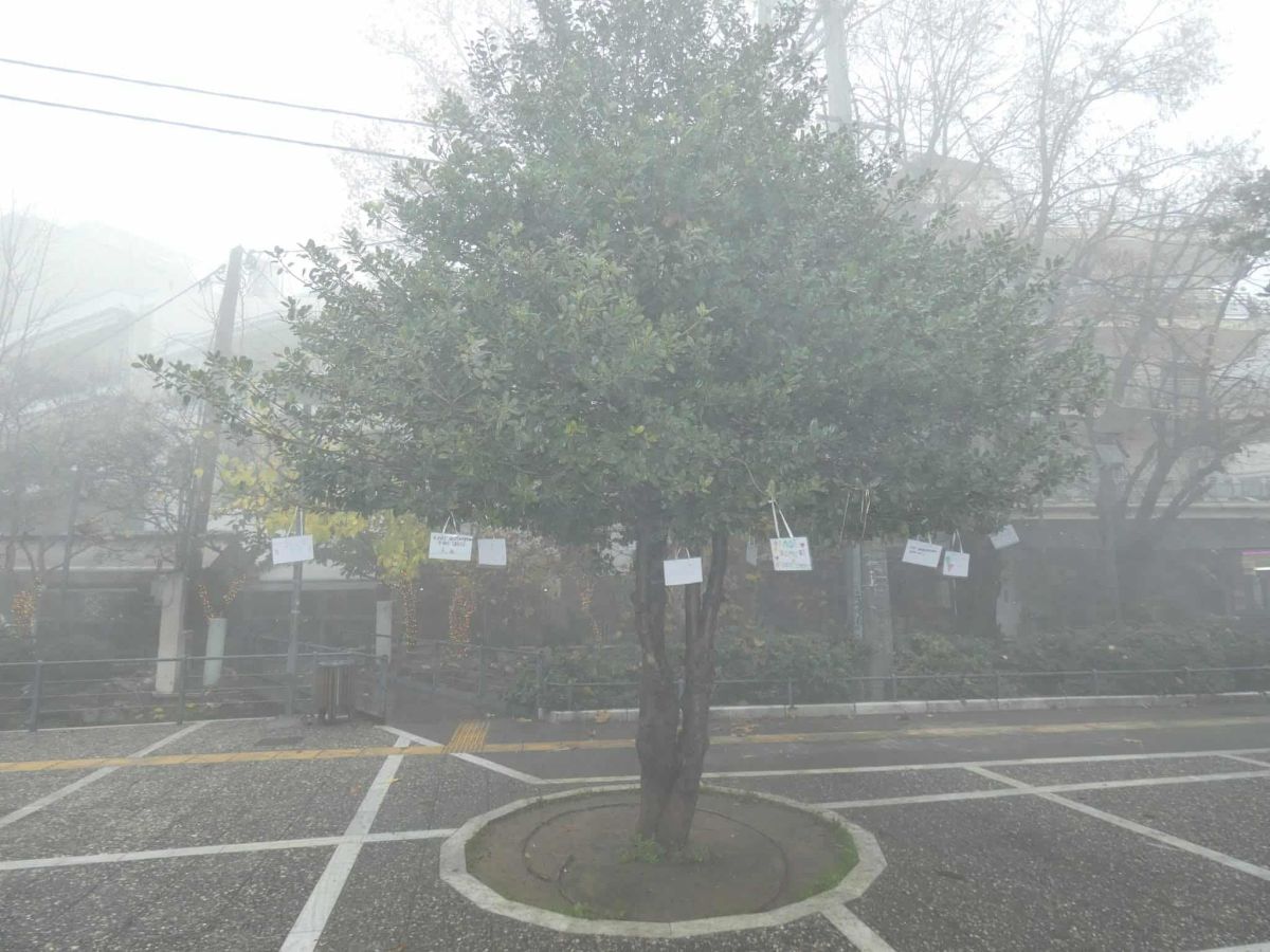 Δράσεις Ευαισθητοποίησης για τα Άτομα με Αναπηρία