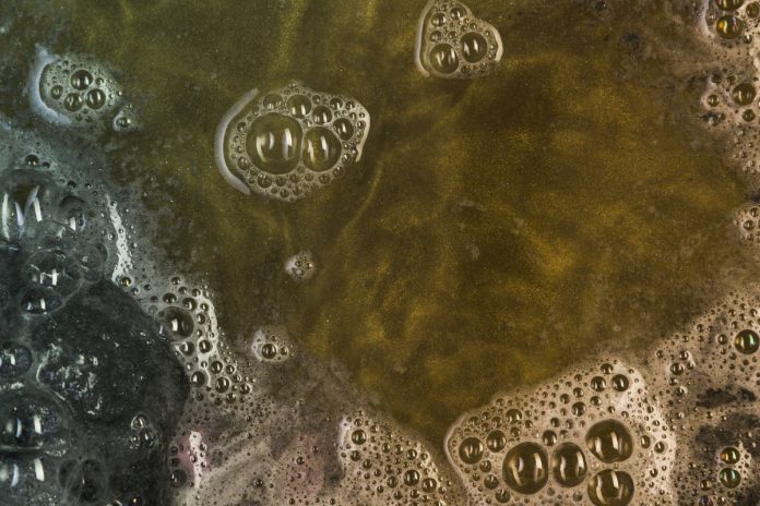 «Λάσπη και Στεγνές Βρύσες»