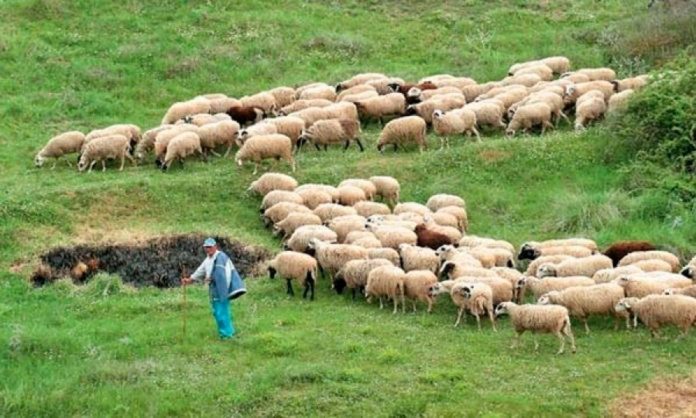 των βοσκοτόπων