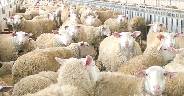 ΕΕΕΔΕΕ: Ο εμβολιασμός δεν αίρει την ανάγκη