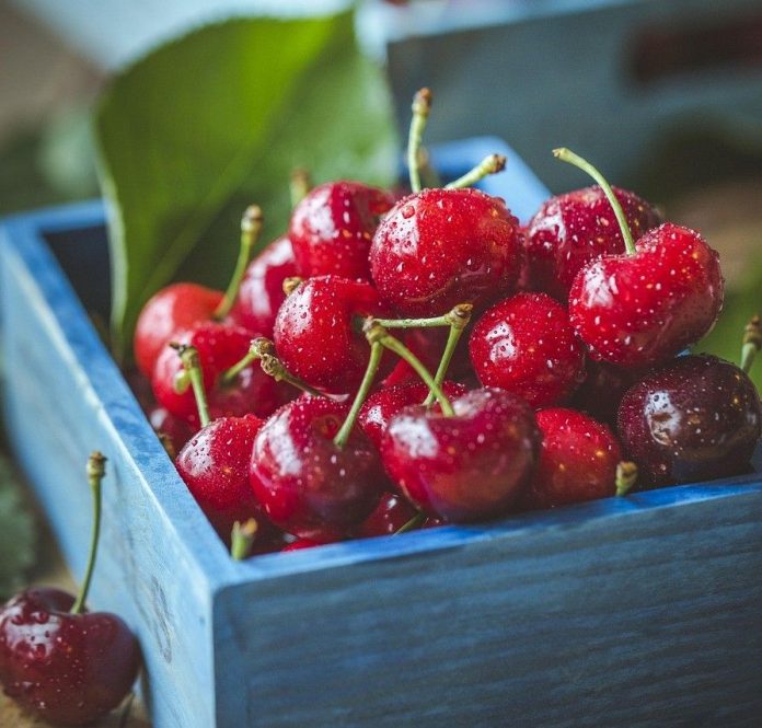 Κερασοπαραγωγοί σε Απόγνωση: Η Αγωνία για τις Πληρωμές και ο Μύθος των «Ζωνών»