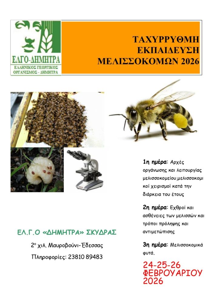 ΤΑΧΥΡΡΥΘΜΗ ΕΚΠΑΙΔΕΥΣΗ ΜΕΛΙΣΣΟΚΟΜΩΝ