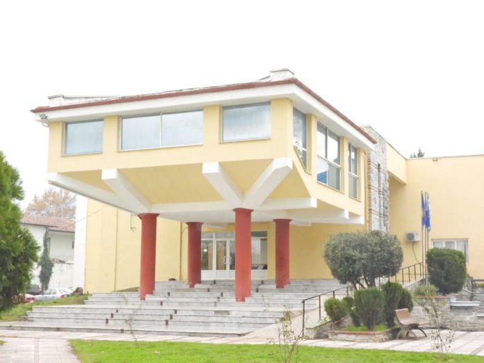 Αλμωπία: Πολιτικό «Ξεκατίνιασμα» για τα Μάτια του Καρναβαλιού