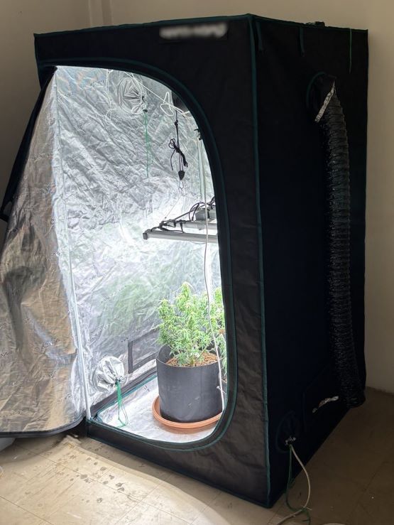 «Indoor» καλλιέργεια στην Πέλλα: Χειροπέδες σε άνδρα με πλήρη εξοπλισμό και δενδρύλλια