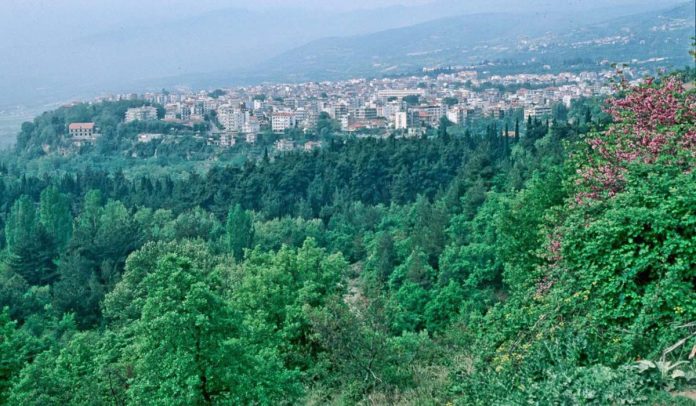 «Πνοή» στο Περιαστικό Δάσος: Η Έδεσσα Ενώθηκε για το Περιβάλλον