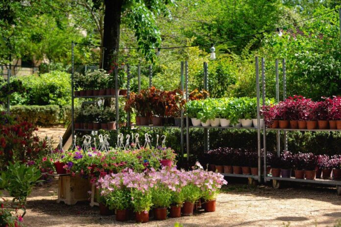 Σκύδρα: Μια Πόλη σε Πλήρη Άνθιση – Όλα έτοιμα για την 9η Ανθοέκθεση!