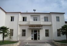 ΣΚΥΔΡΑ: Ο ΔΡΟΜΟΣ ΤΗΣ ΑΝΑΠΤΥΞΗΣ ΠΕΡΝΑ ΜΕΣΑ ΑΠΟ ΤΙΣ ΥΠΟΔΟΜΕΣ ΣΚΥΔΡΑ: Ο ΔΡΟΜΟΣ ΤΗΣ ΑΝΑΠΤΥΞΗΣ ΠΕΡΝΑ ΜΕΣΑ ΑΠΟ ΤΙΣ ΥΠΟΔΟΜΕΣ