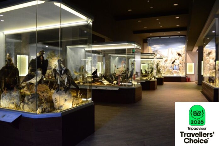 ΔΙΕΘΝΗΣ ΑΝΑΓΝΩΡΙΣΗ ΓΙΑ ΤΟ ΜΟΥΣΕΙΟ ΦΥΣΙΚΗΣ ΙΣΤΟΡΙΑΣ ΜΕΤΕΩΡΩΝ ΚΑΙ ΜΟΥΣΕΙΟ ΜΑΝΙΤΑΡΙΩΝ